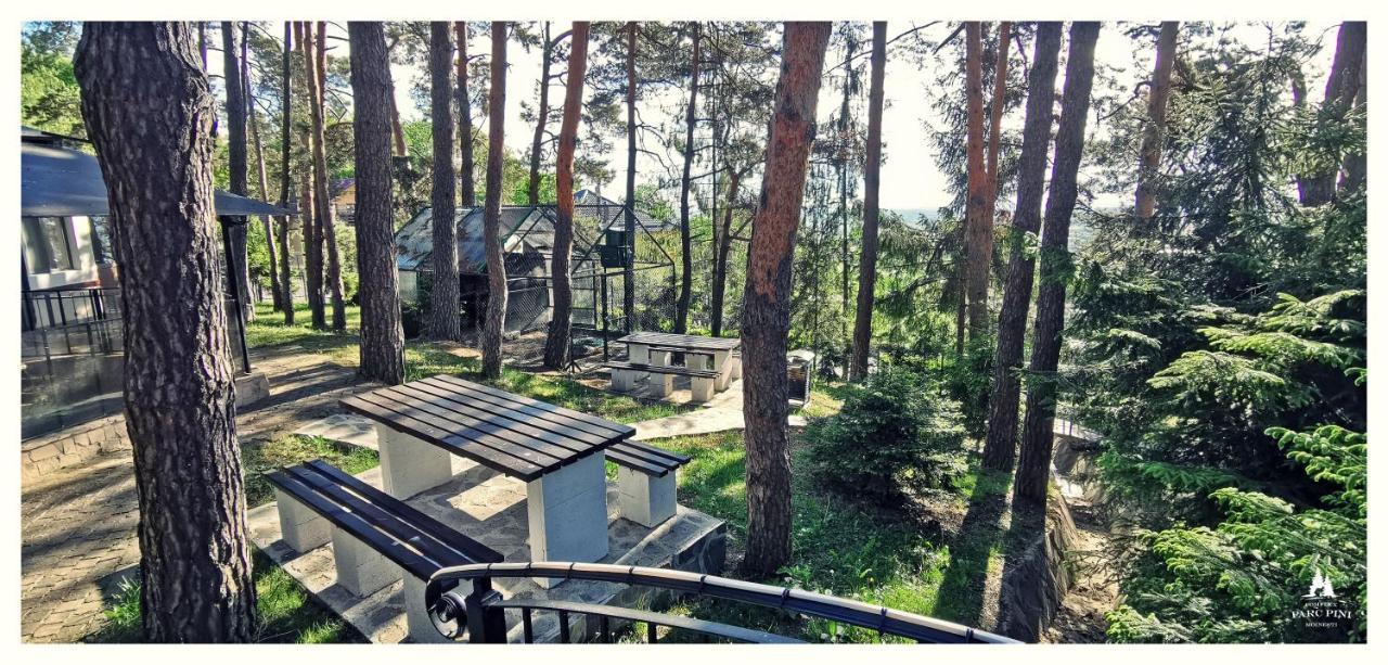 Hotel Complex Parc Pini Moineşti Exterior foto